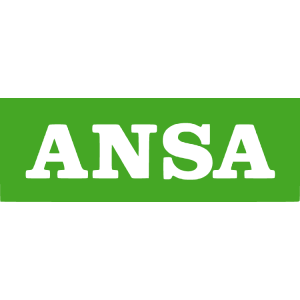 ansa